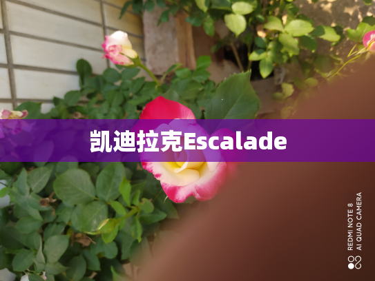 凯迪拉克Escalade