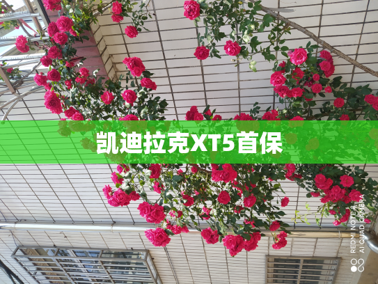 凯迪拉克XT5首保