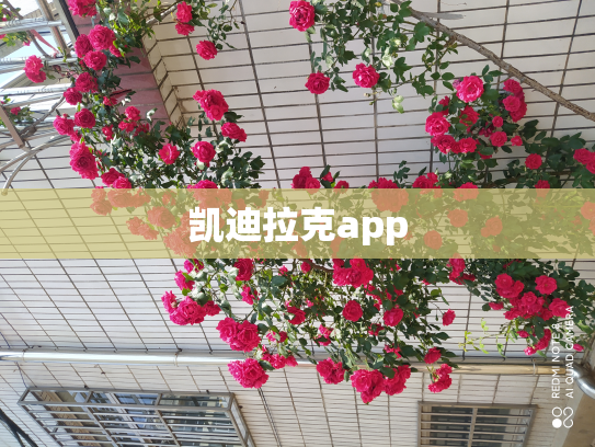 凯迪拉克app