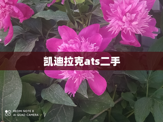 凯迪拉克ats二手