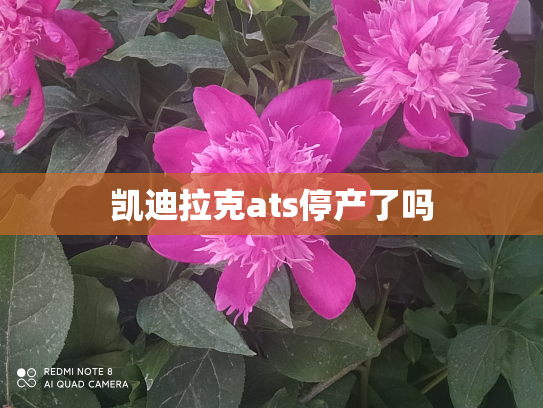凯迪拉克ats停产了吗