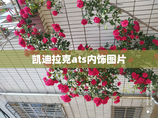 凯迪拉克ats内饰图片