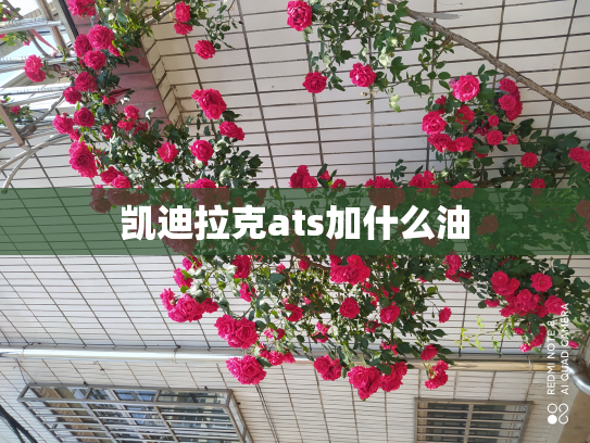 凯迪拉克ats加什么油