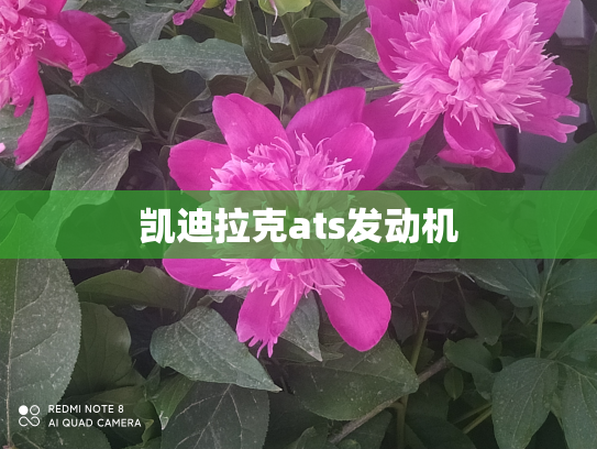凯迪拉克ats发动机