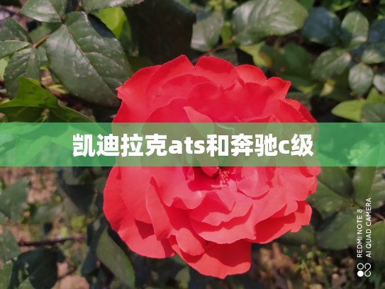 凯迪拉克ats和奔驰c级