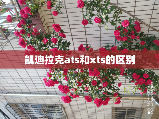凯迪拉克ats和xts的区别