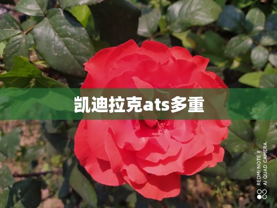 凯迪拉克ats多重