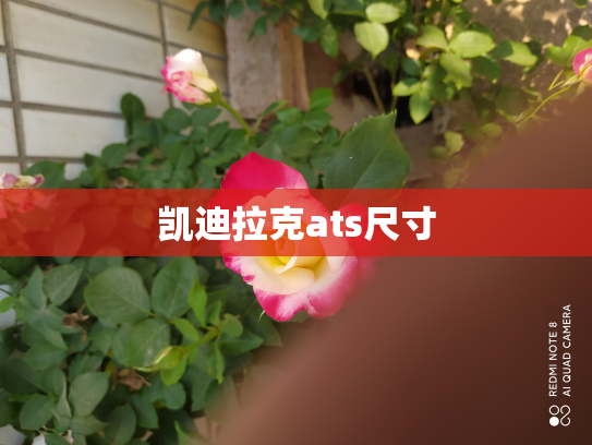 凯迪拉克ats尺寸
