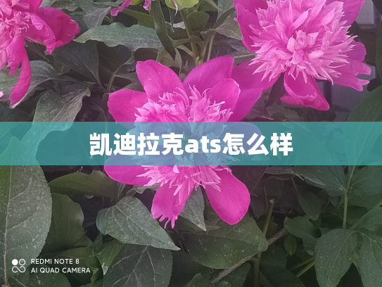 凯迪拉克ats怎么样