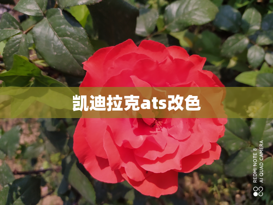 凯迪拉克ats改色