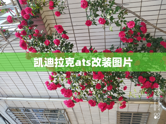 凯迪拉克ats改装图片