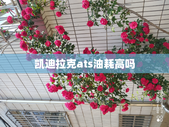 凯迪拉克ats油耗高吗