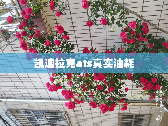凯迪拉克ats真实油耗
