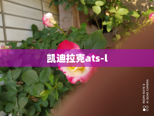 凯迪拉克ats-l