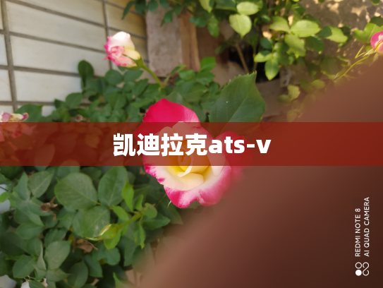 凯迪拉克ats-v