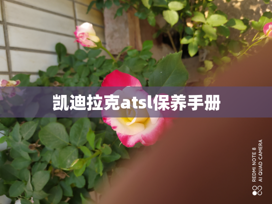 凯迪拉克atsl保养手册