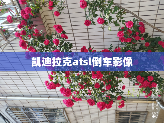 凯迪拉克atsl倒车影像
