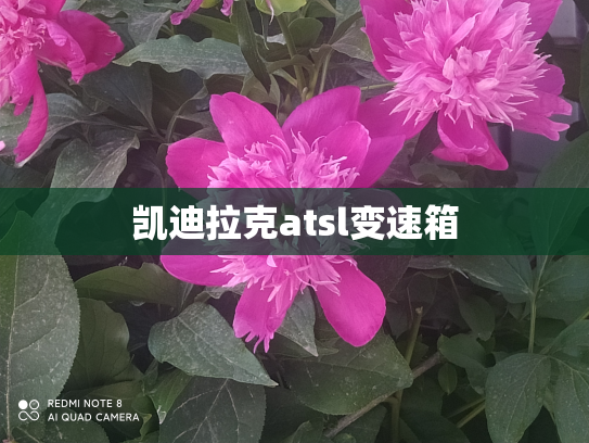 凯迪拉克atsl变速箱