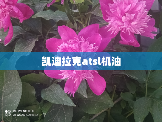 凯迪拉克atsl机油