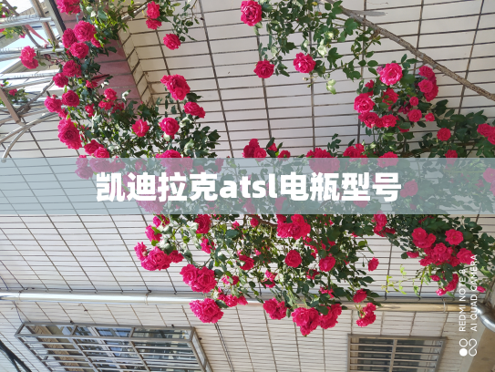 凯迪拉克atsl电瓶型号