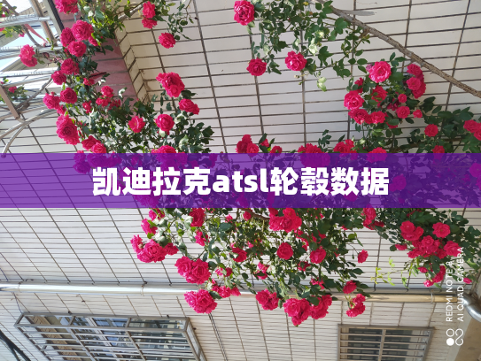 凯迪拉克atsl轮毂数据