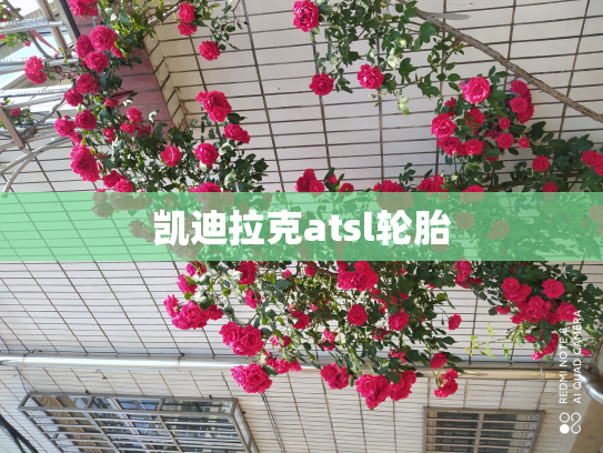凯迪拉克atsl轮胎