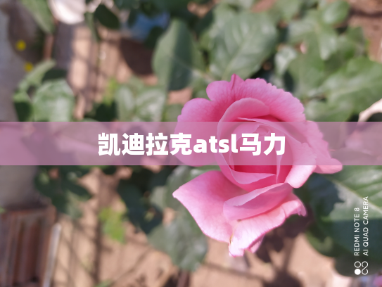 凯迪拉克atsl马力