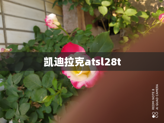 凯迪拉克atsl28t