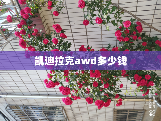 凯迪拉克awd多少钱