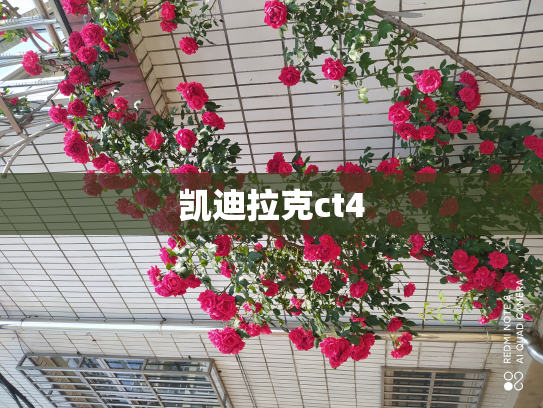 凯迪拉克ct4
