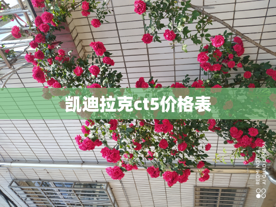 凯迪拉克ct5价格表