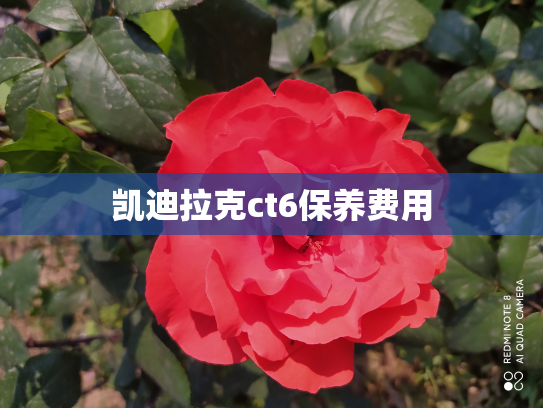 凯迪拉克ct6保养费用