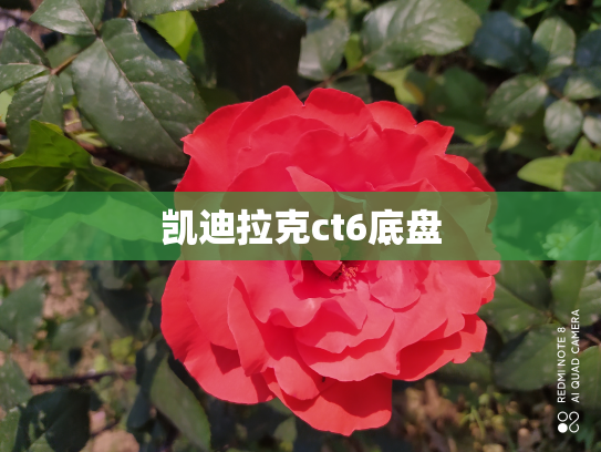 凯迪拉克ct6底盘