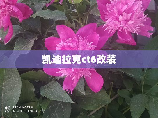 凯迪拉克ct6改装