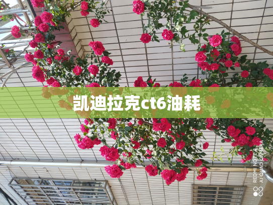 凯迪拉克ct6油耗