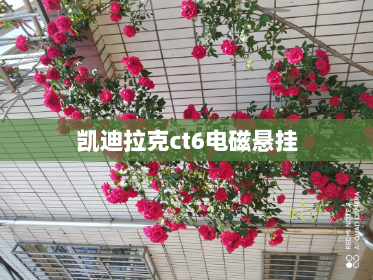 凯迪拉克ct6电磁悬挂