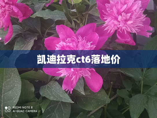 凯迪拉克ct6落地价