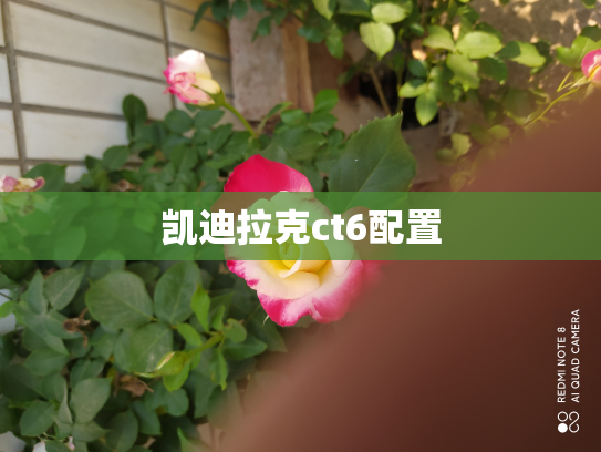 凯迪拉克ct6配置