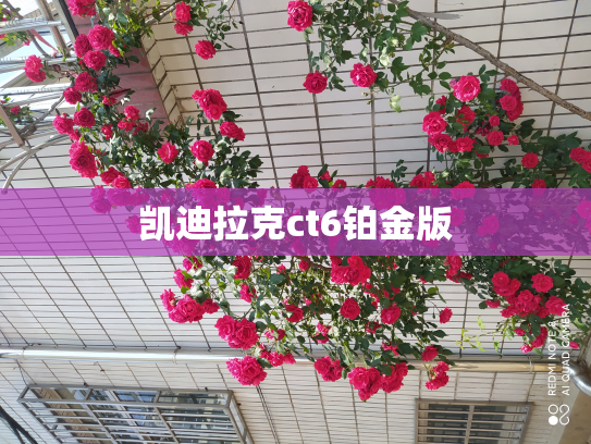 凯迪拉克ct6铂金版