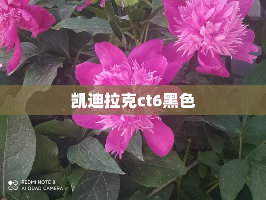 凯迪拉克ct6黑色