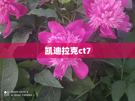凯迪拉克ct7
