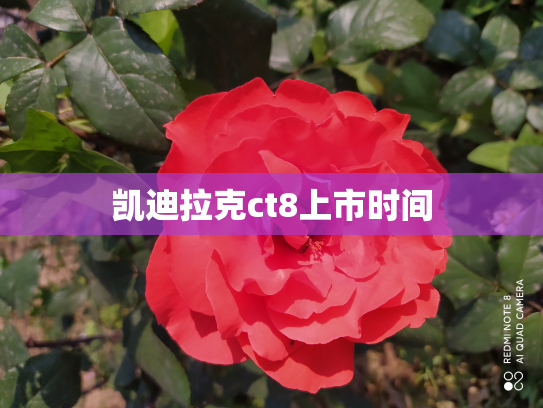 凯迪拉克ct8上市时间