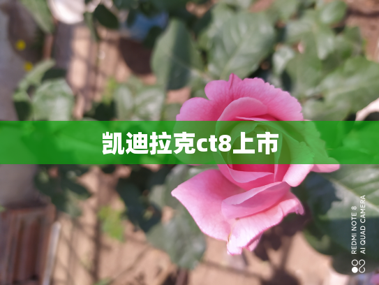 凯迪拉克ct8上市