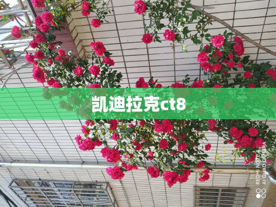 凯迪拉克ct8