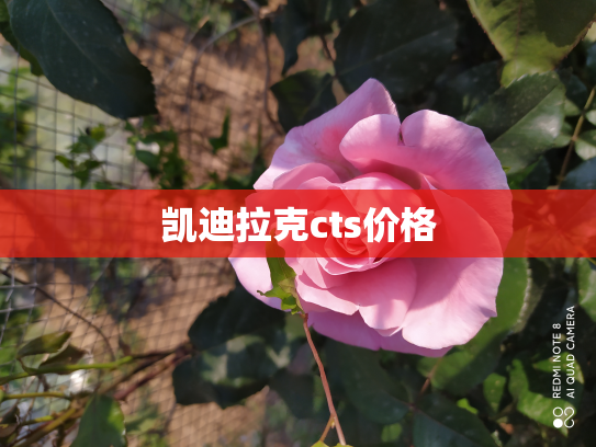 凯迪拉克cts价格