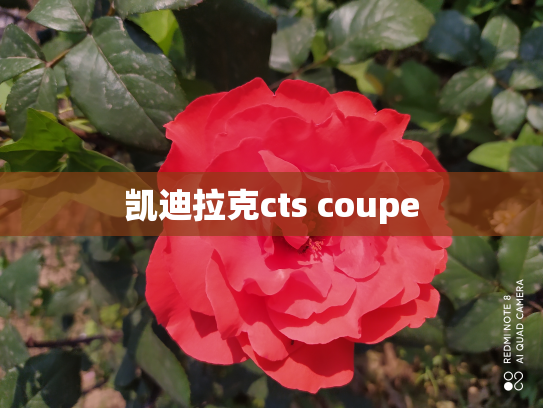 凯迪拉克cts coupe