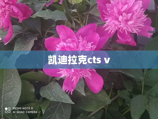 凯迪拉克cts v