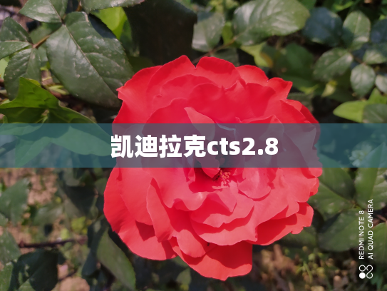 凯迪拉克cts2.8