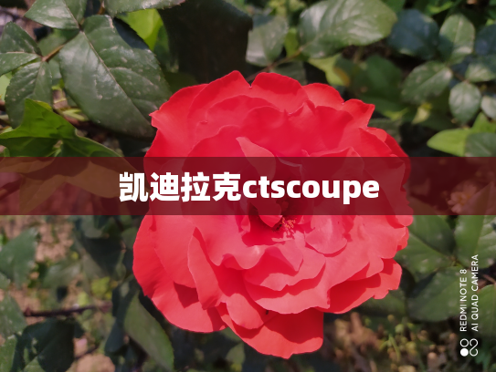 凯迪拉克ctscoupe