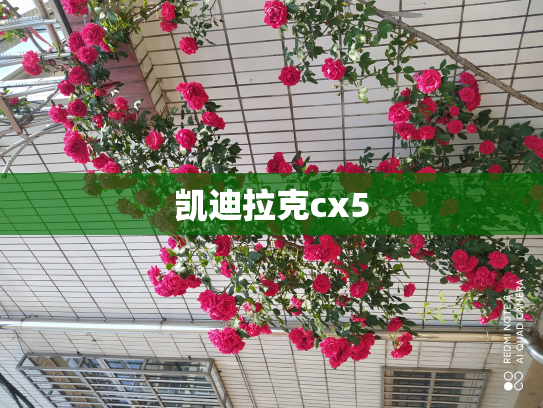 凯迪拉克cx5